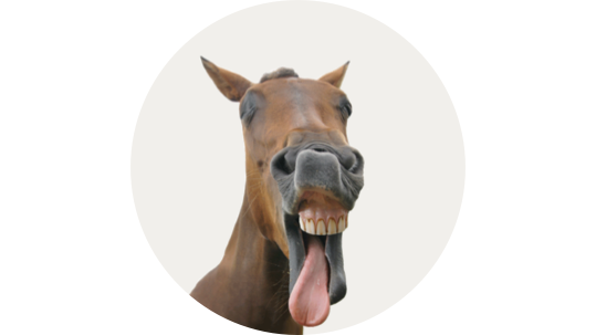 Horse with Tongue Out