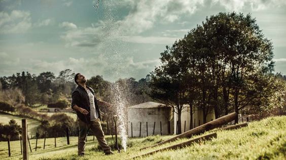 main looking up at fountain of water coming from burst pipe in paddock