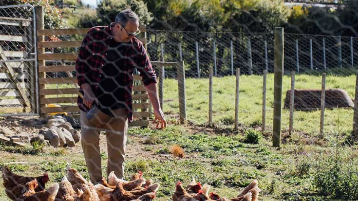Michael van de Elzen feeding chickens behind chickenwire fence 