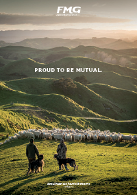 men with dogs herding sheep