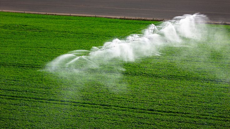 Irrigator
