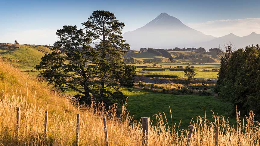 landscape of paddocks with Mt Taranaki in background