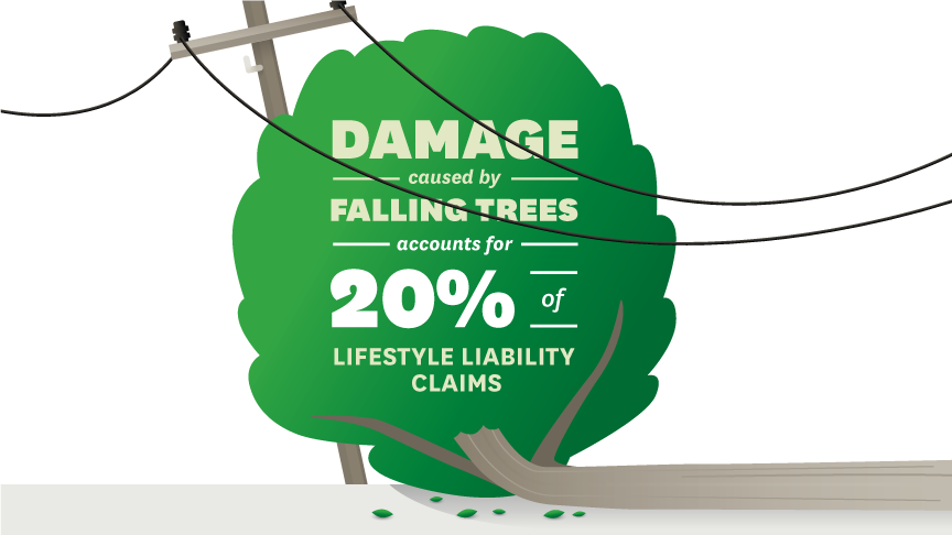 damage caused by falling trees accounts for 20 per cent of lifestyle liability claims 