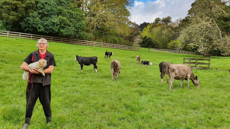 Roger Dunn standing with animals in paddock