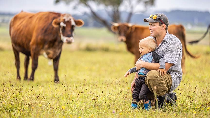 Man kneeling with toddler looking at cows 