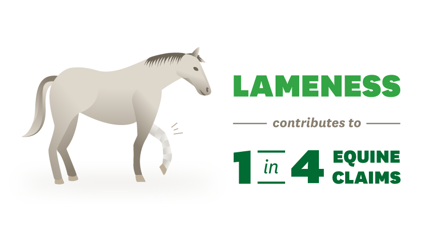 lameness contributes to one in four equine claims 