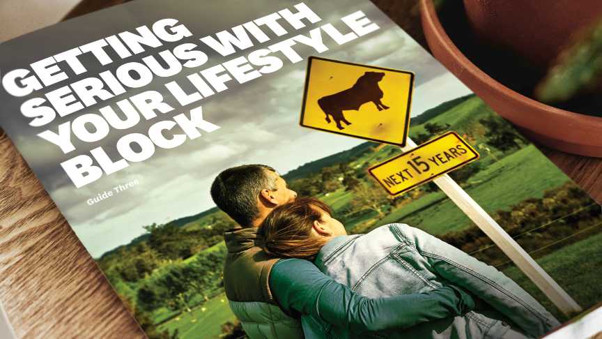 Getting serious guide 