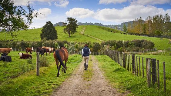 woman walking up dirt road with horse 