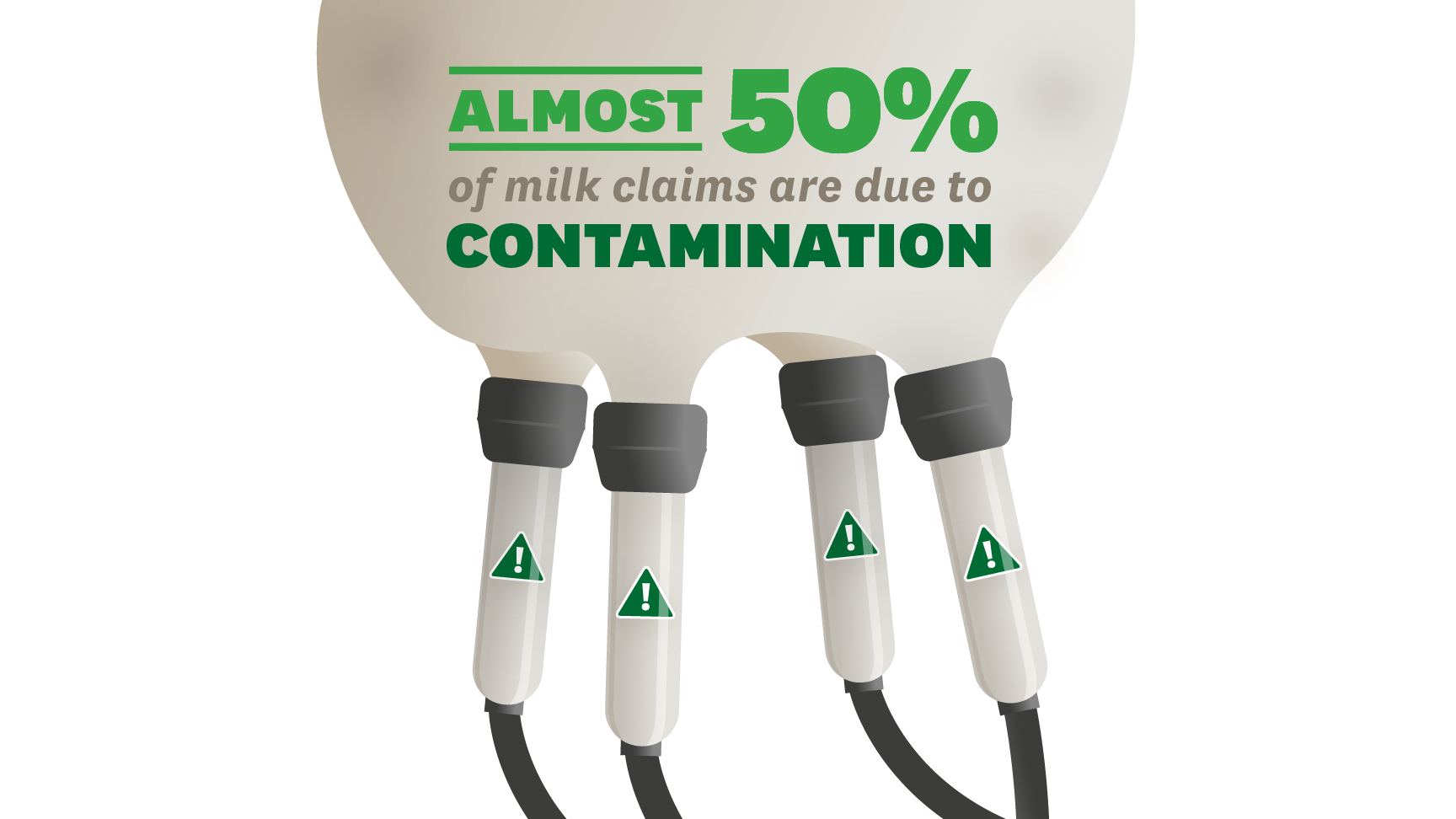 Otago milk contamination