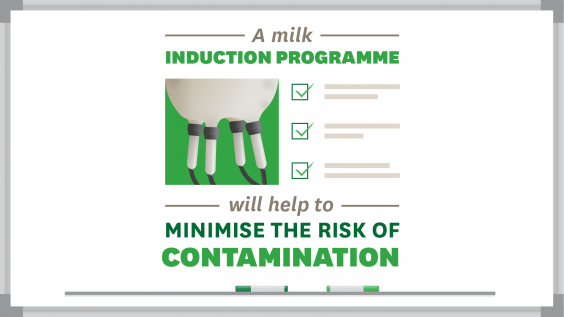 Waikato milk induction