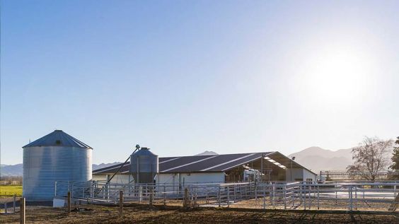 dairy shed and milk vat 