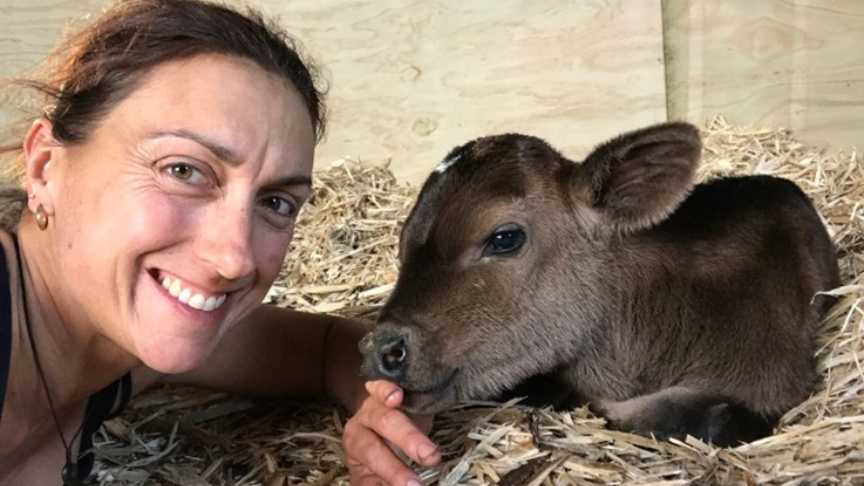 Jo Wood Calf