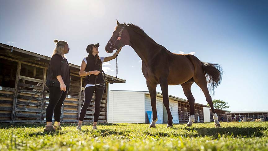 woman talking next to horse 