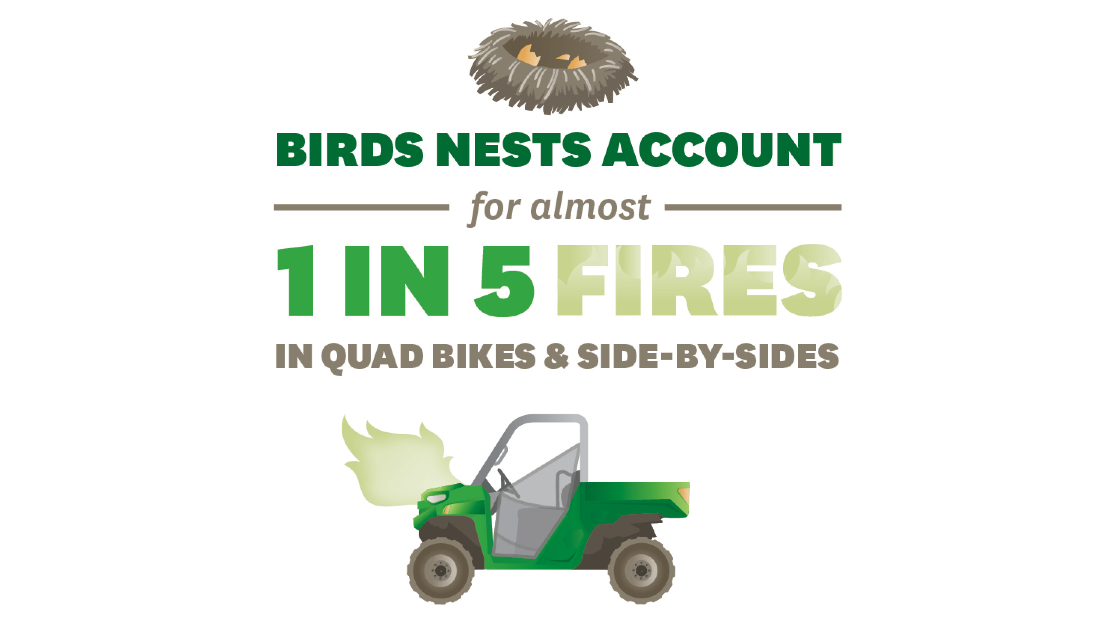 Bird nests infographic 