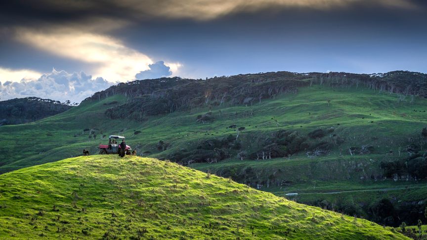 Side by side on hill