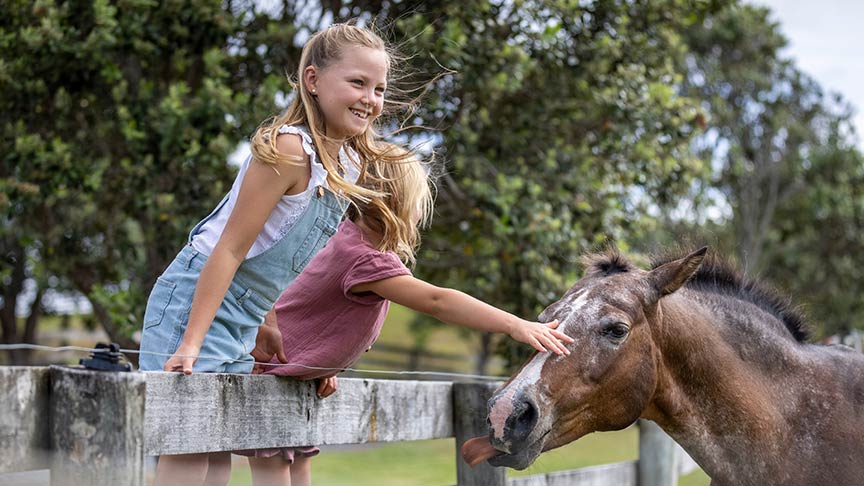 Two young girls leaning over fencing petting horse 