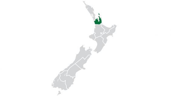 Greater Auckland Map 