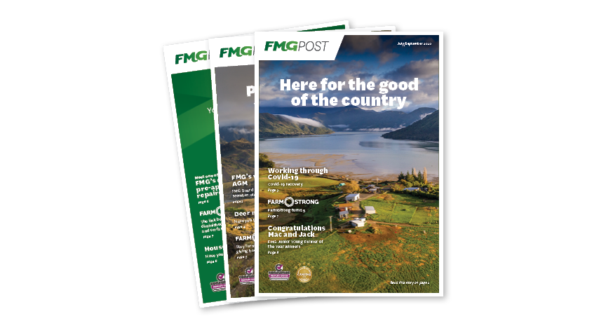 Three FMG Post publications fanned out on display