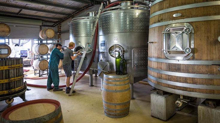 men working with large wine barrels 