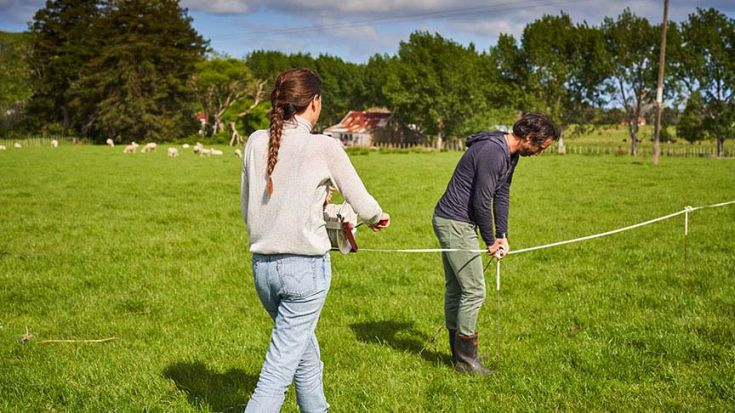 couple putting up temporary fences in paddock 