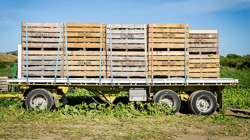 crates on truck bed 