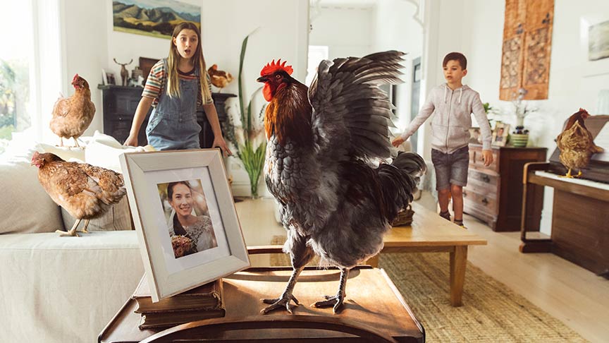 boy and girl with shocked expressions standing in lounge watching three chickens walk on furniture 