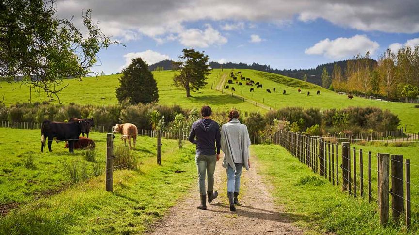 Couple walking down dirt driveway on lifestyle block 