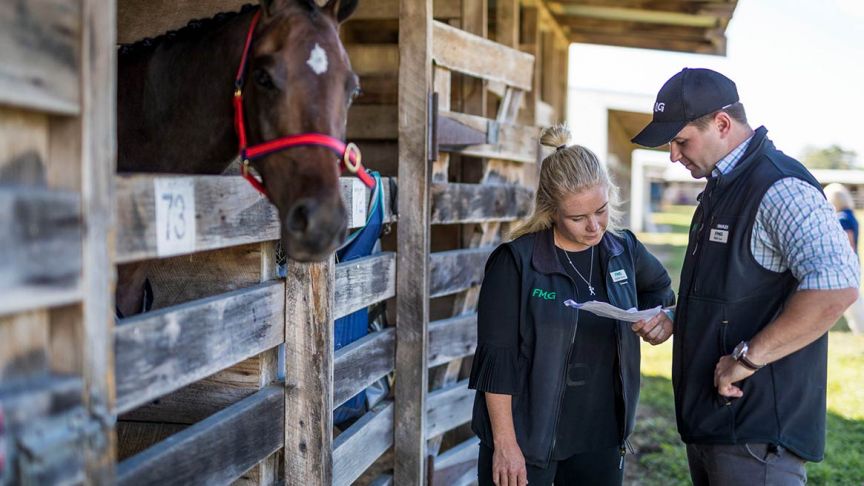 Two FMG advisers looking at paperwork next to horse peeking out from stables 