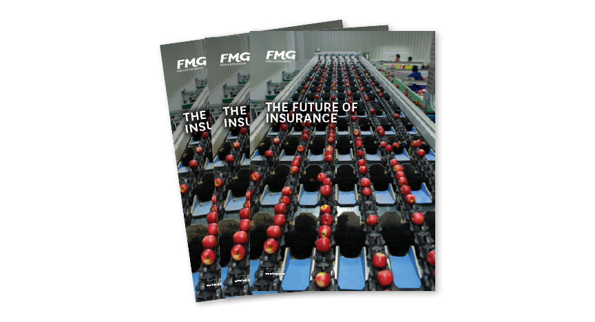 Three copies of FMG's Future of Insurance publication fanned out on display