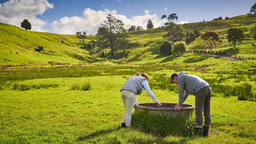 couple looking at effluent pond in paddock 