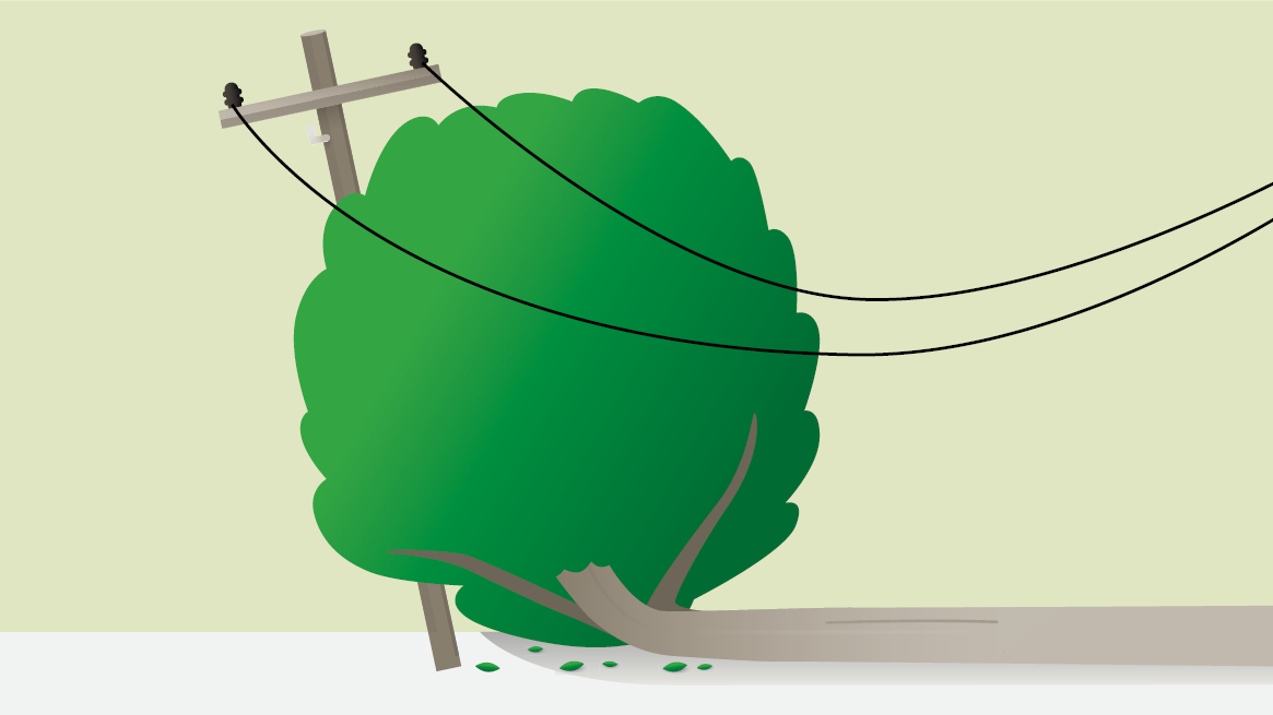 Power Insurance Plan B for Power | FMG Insurance