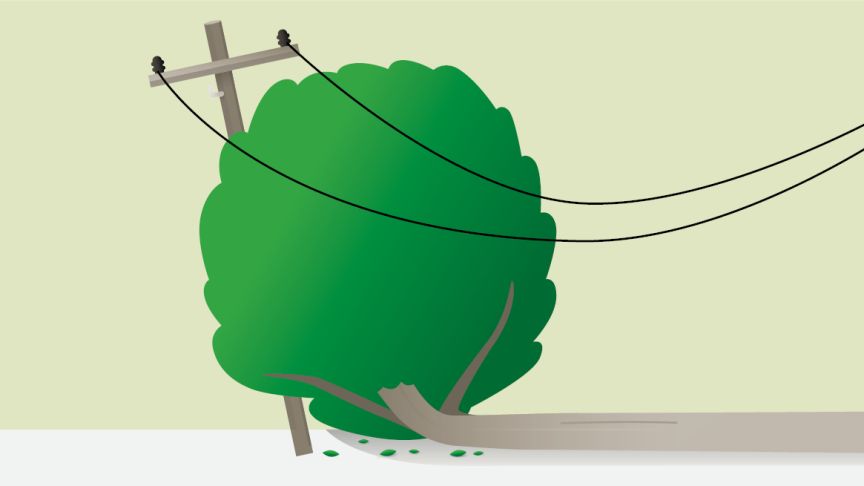 Tree fallen on power pole graphic 