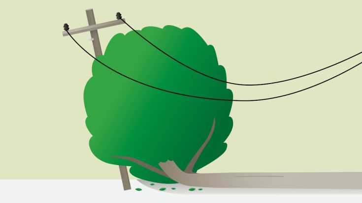 Tree fallen on power pole graphic