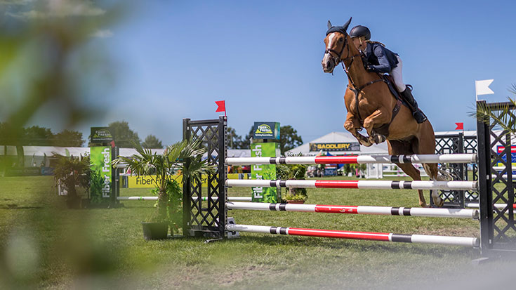 Brown horse jumping over fence during competition