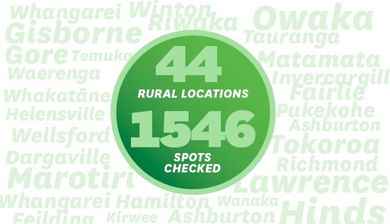 Spot Check Roadie Stats 2025 1