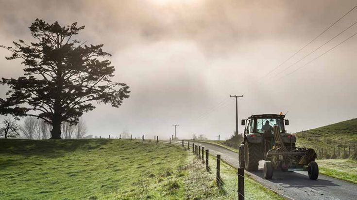 Tractor driving on road next to paddock 